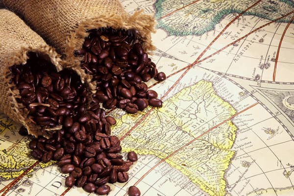 تلگرافی رسیده از سرزمینِ خفاش‌های خون‌آشام و نفرین شده، سرزمین شگفت‌سانان