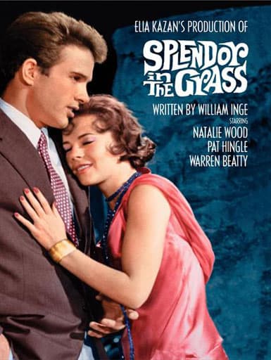 شکوه علفزار / Splendor in the Grass 1961 دانلود فیلم