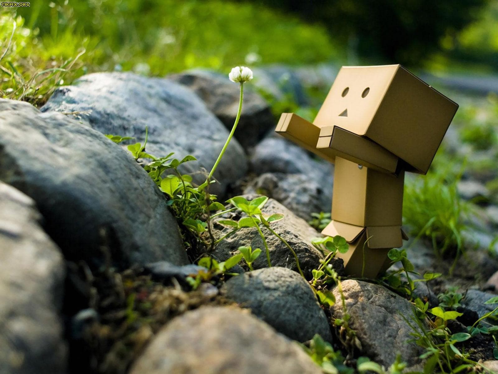 ای دوست... (نامهربانی)