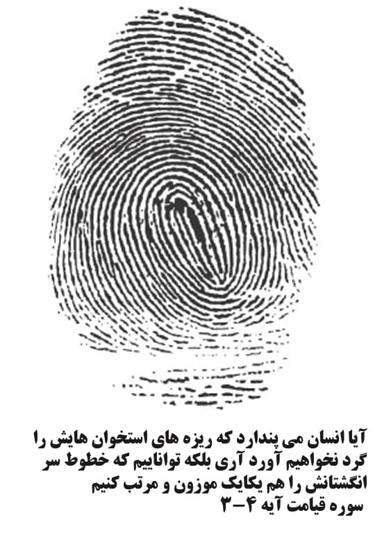 خداوند بر هر چیز تواناست 