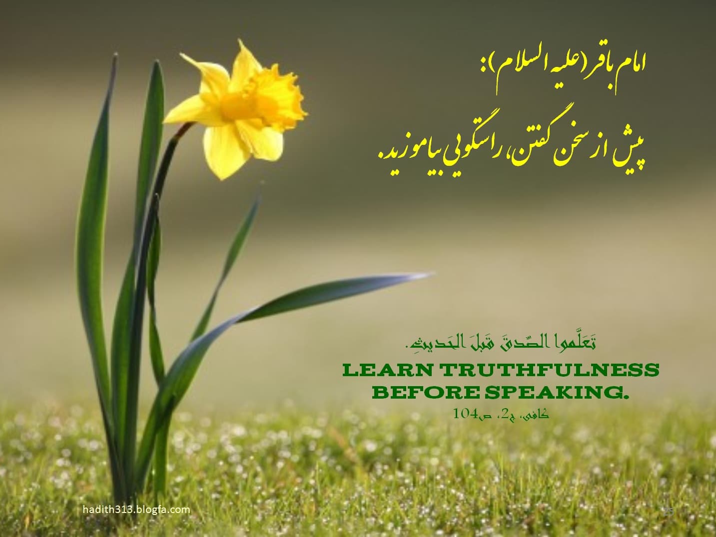 راستگویی