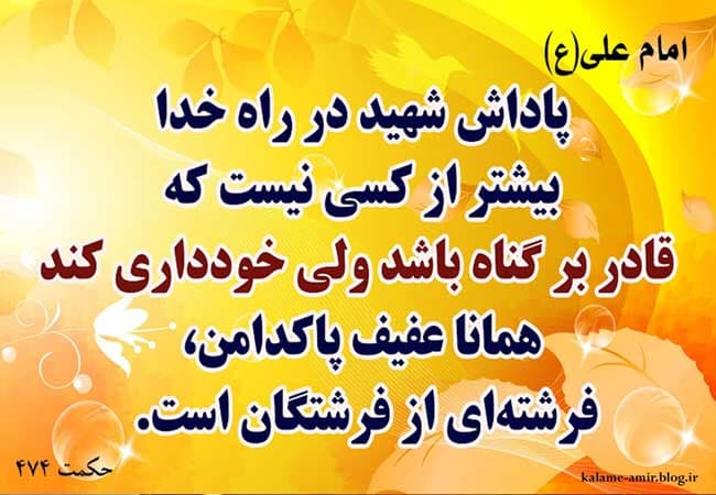 عفت و پاکدامنی