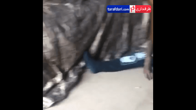 ویدیو؛ سرگرمی این روز های بالوتلی در منزل