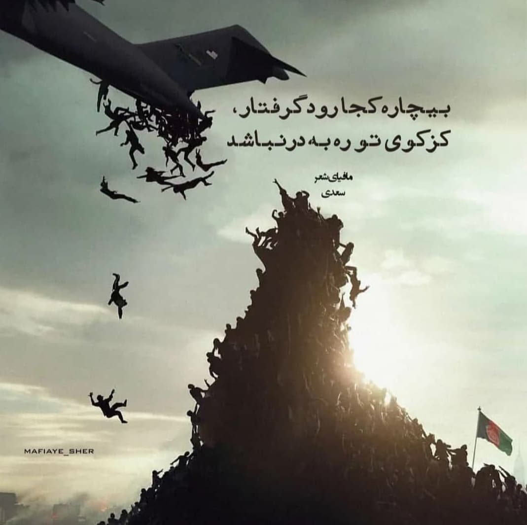بیچاره کجا رود ؟ ?