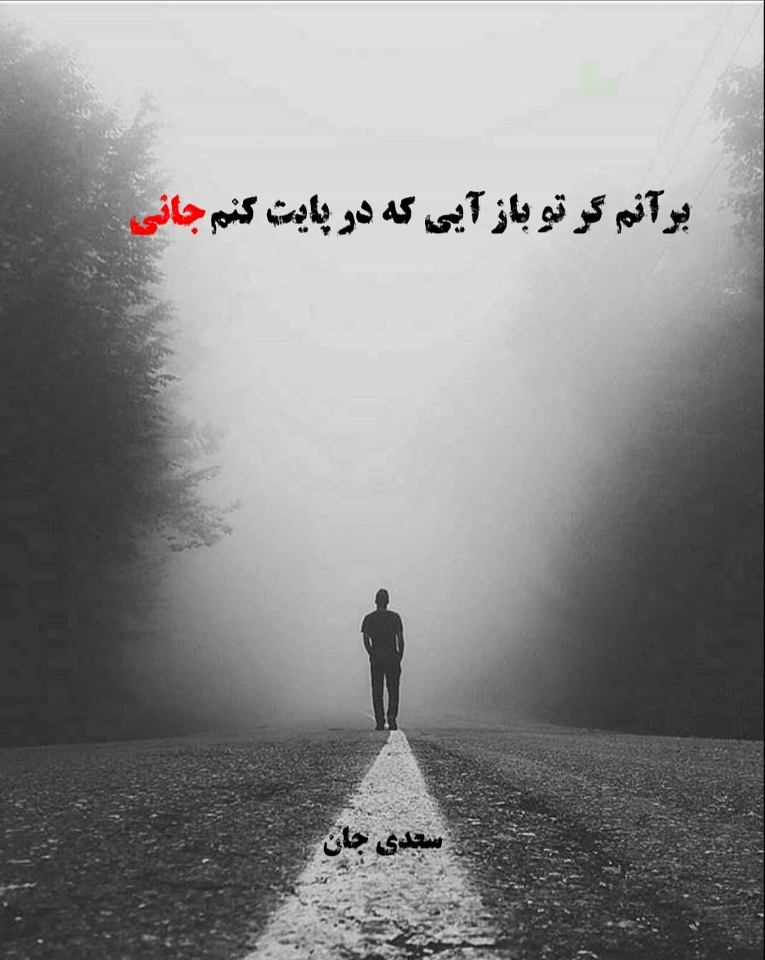 بر آنم گر تو باز آیی که در پایت کنم جانی ❤
