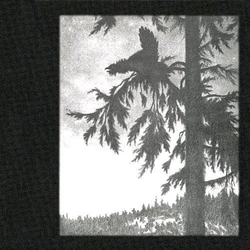 Where at Night the Wood Grouse Plays_Empyrium
