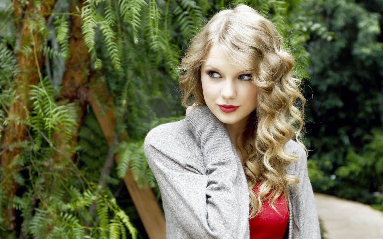 تیلور سوئیفت موسیقی بیکلام Taylor Swift - Style (Instrumental)