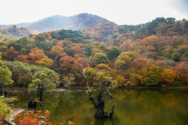 Autumn I از Antonio Vivaldi