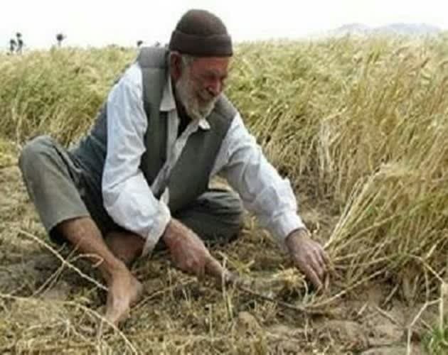 حکایت بسیار زیبا و پند آموز...