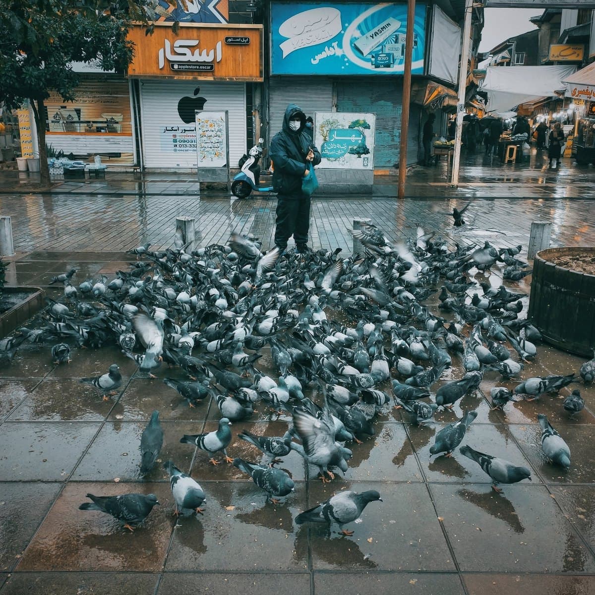 سرنوشت _ جیدال مدگل عرفان پایدار 