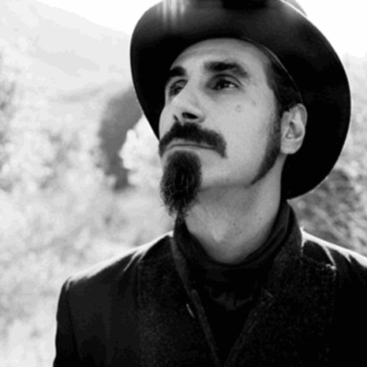 دانلود آهنگ Serj Tankian - Lie Lie Lie