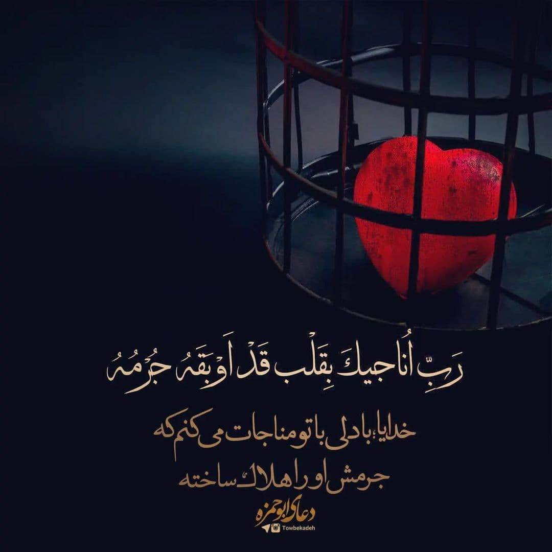 ??السلام علی موتی المسلمین??