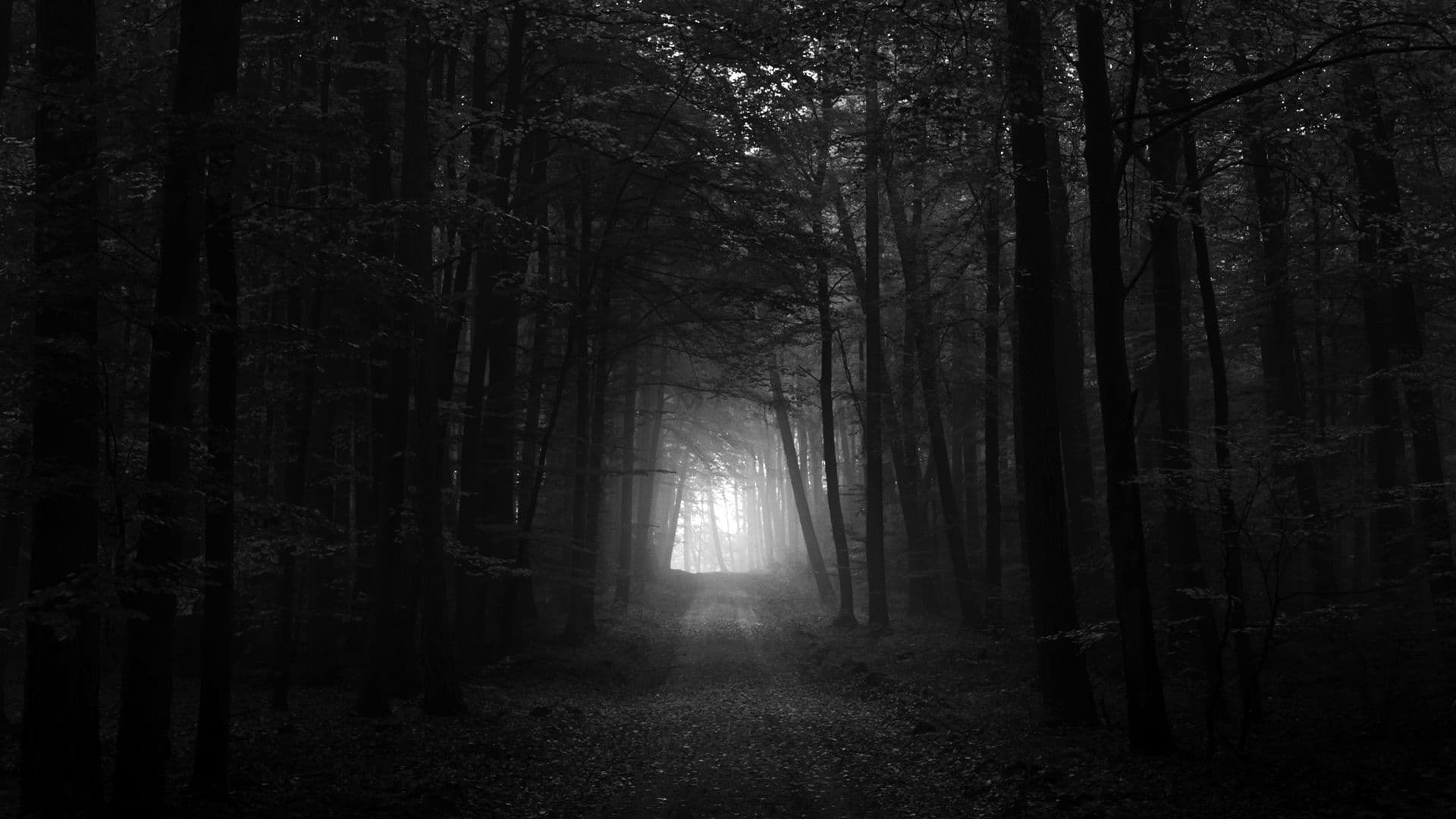 nocturne (-2)