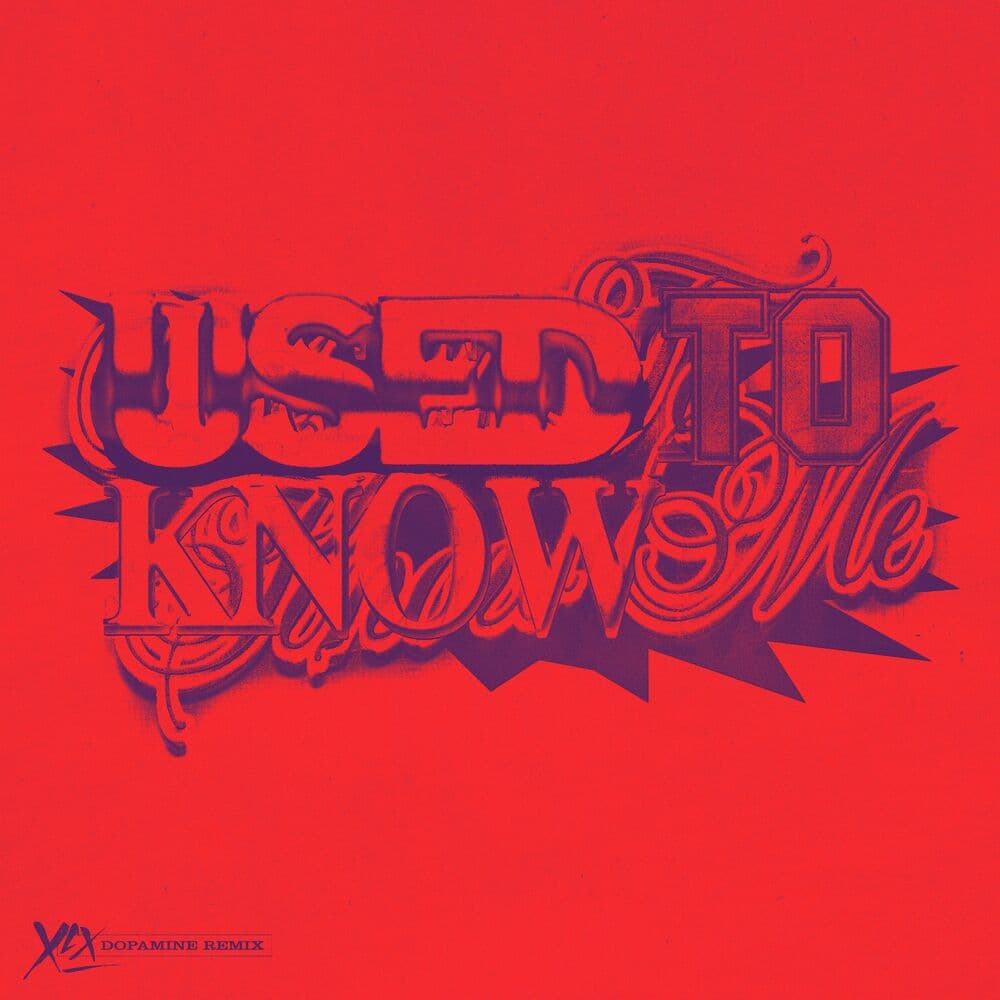 دانلود آهنگ Charlie XCX - Used To Know Me