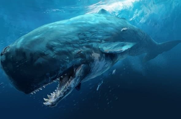 لویاتان، نهنگی افسانه ای در تاریخ