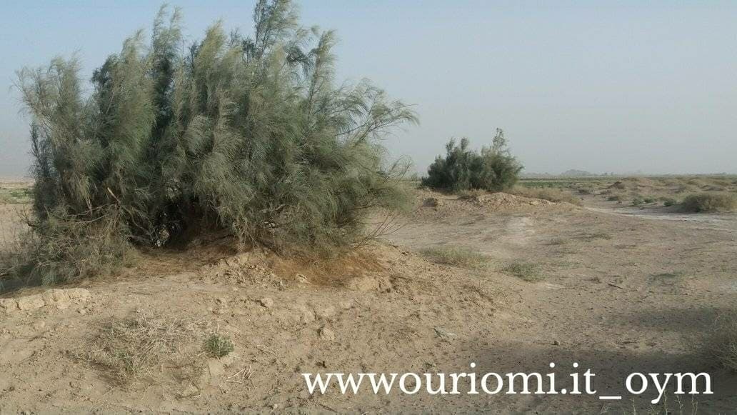 تصاویری از‌روستای گورچان خاش