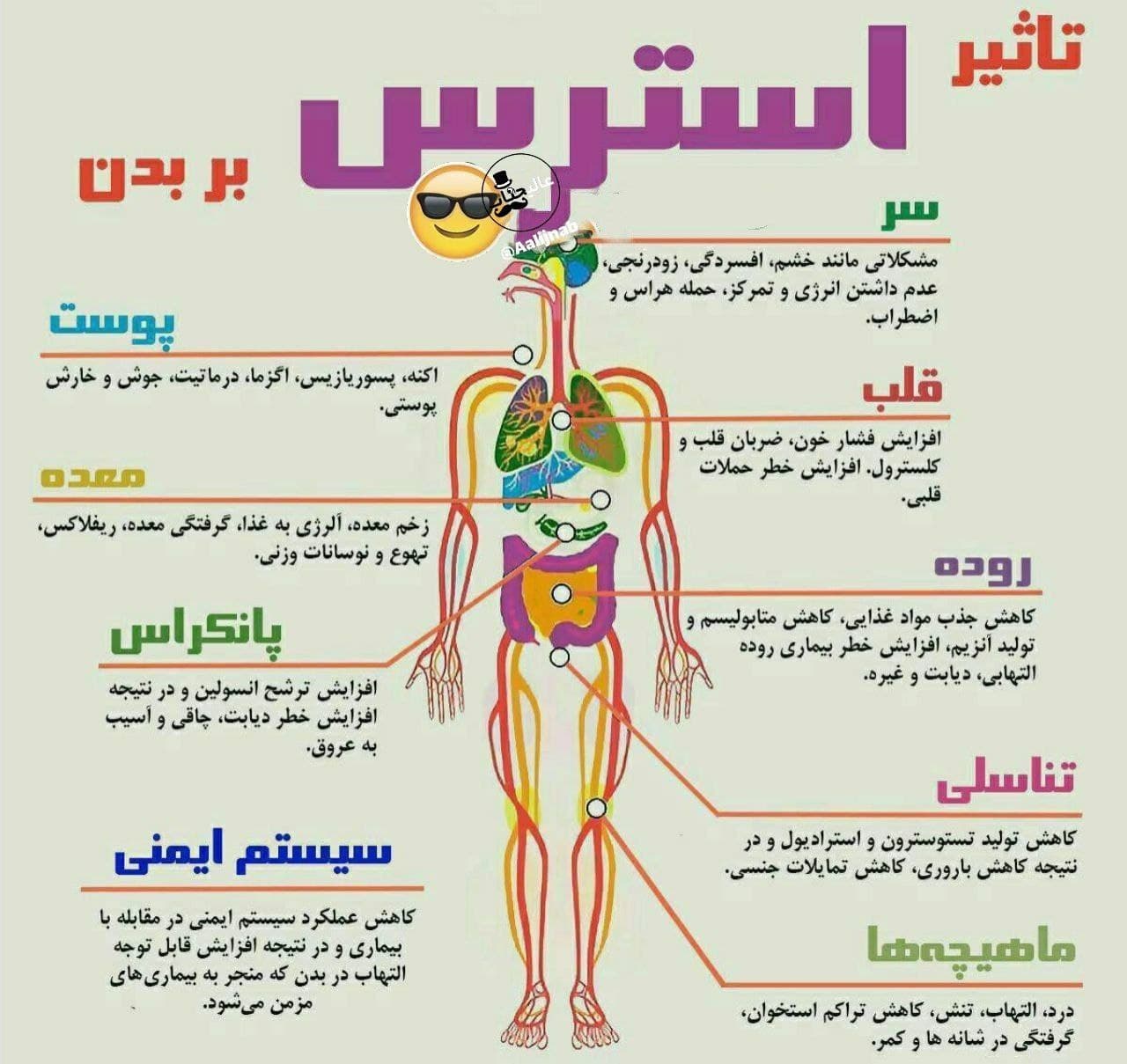 استرس اینگونه بدن رو نابود میکنه