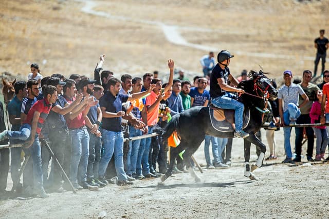 ورزشگاه سوارکاری نوروزآباد پلمب شد/ حبس ورزشکاران به سبک متروپل!