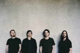 flying whales_gojira