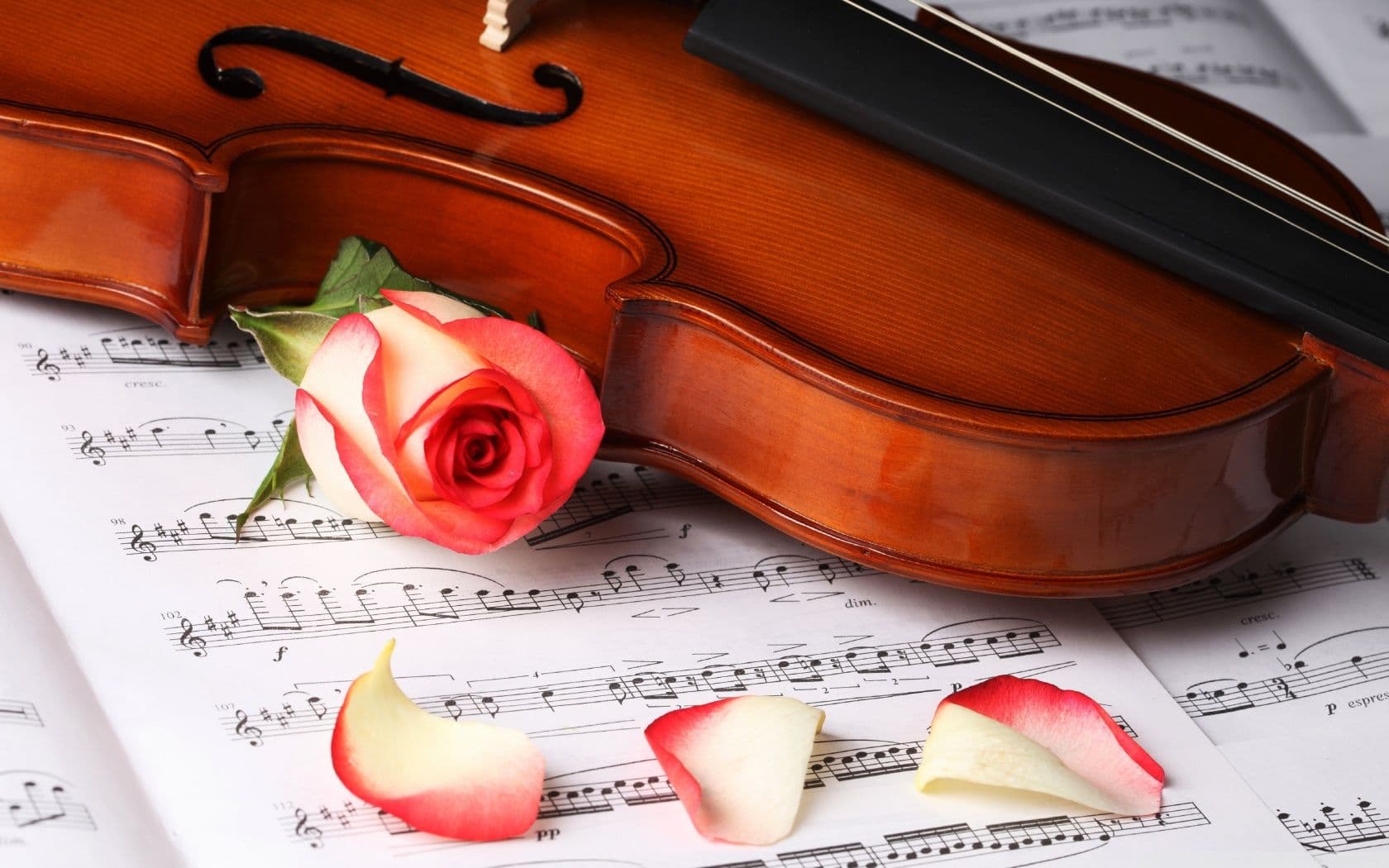 nocturne (29)