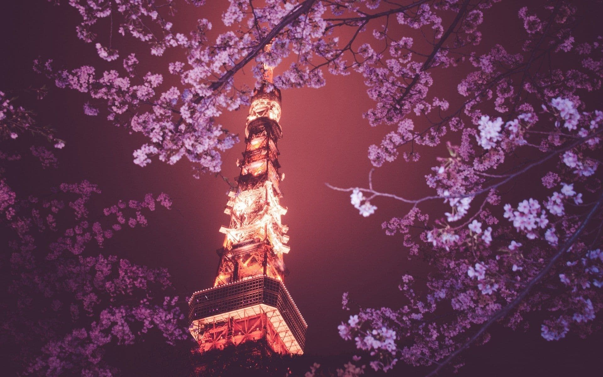 nocturne (15)