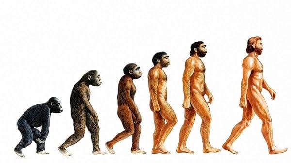 نظریه فرگشت توهمی بیش نیست!!
