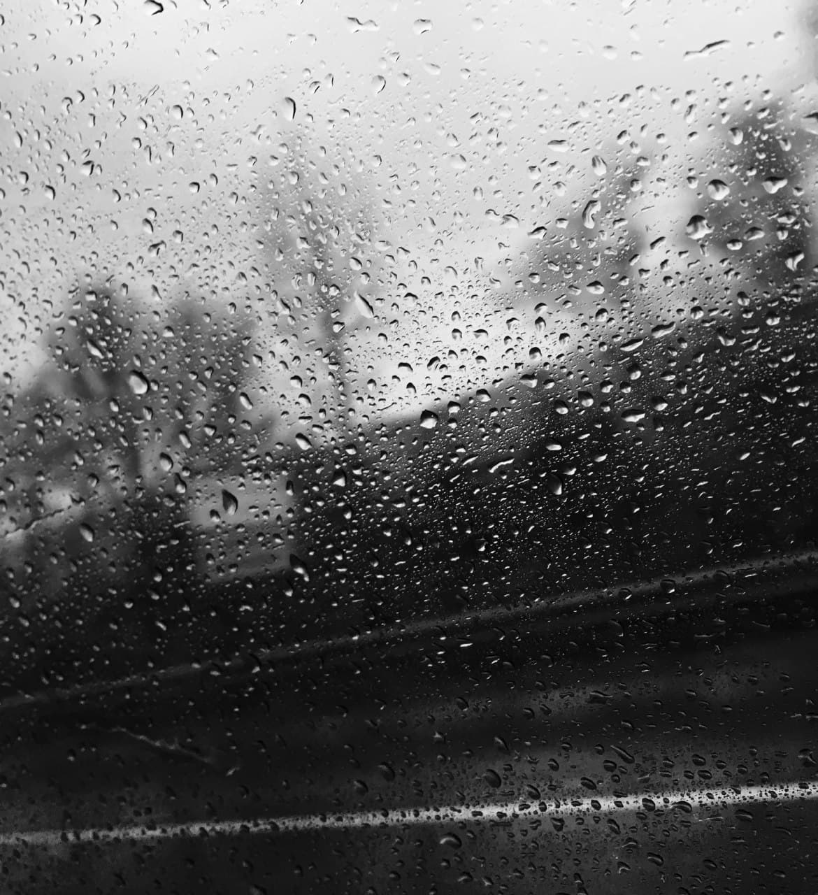 دانلود آهنگ Raindrops از ShamRain؛ همراه با متن و ترجمه