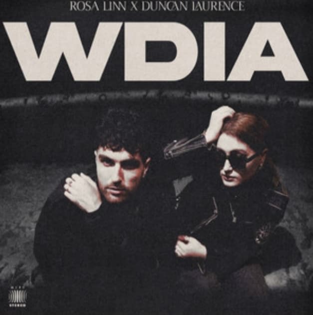 آهنگ WDIA(Would Do It Again) از Rosa Linn, Duncan Laurence +متن