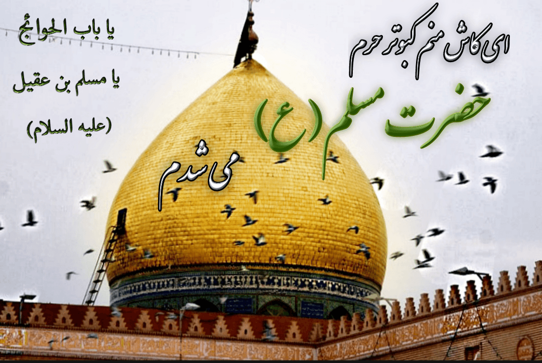 حضرت مسلم