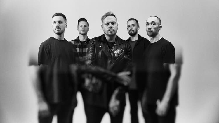 آهنگ architects - animals