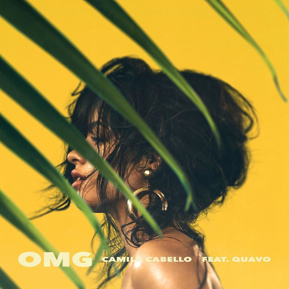 دانلود آهنگ Camila Cabello & Quavo - OMG
