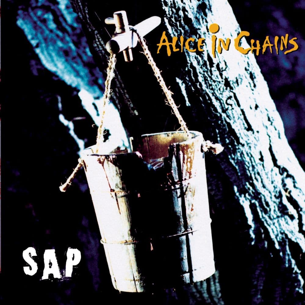 دانلود آهنگ Alice In Chains - Got Me Wrong