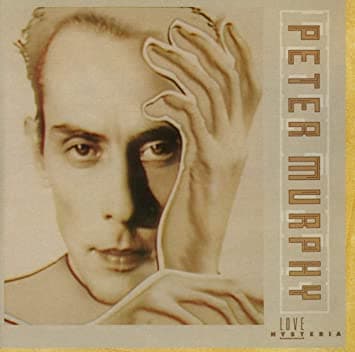 دانلود آهنگ Fun time _ Peter Murphy