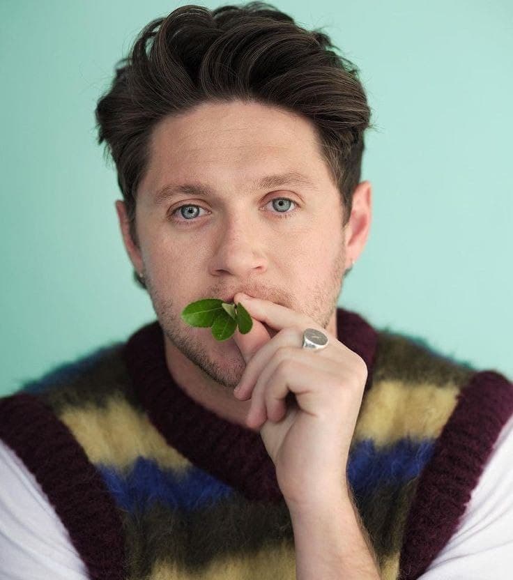 دانلود آهنگ save my life از Niall Horan 