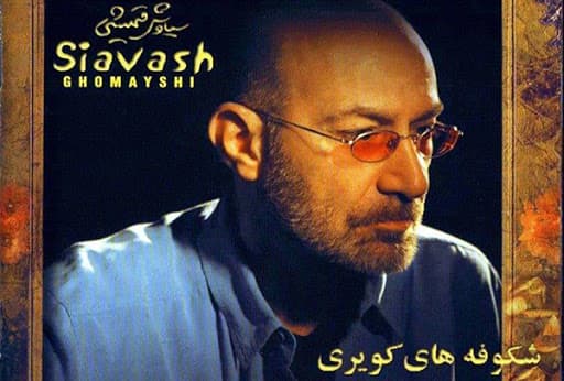 سیاوش قمیشی_ بیا برگرد