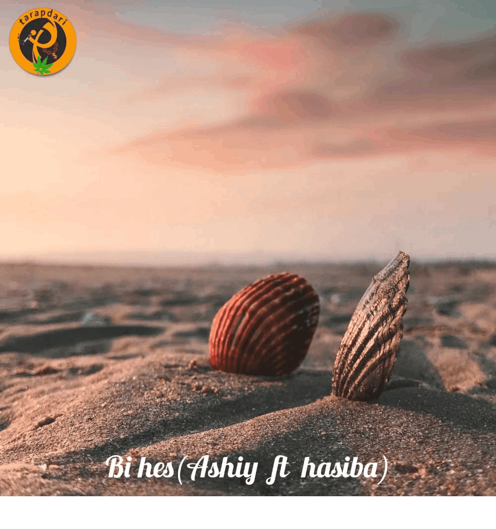 آهنگ «بی حس» از Ashiy و Hasiba | طرپداری