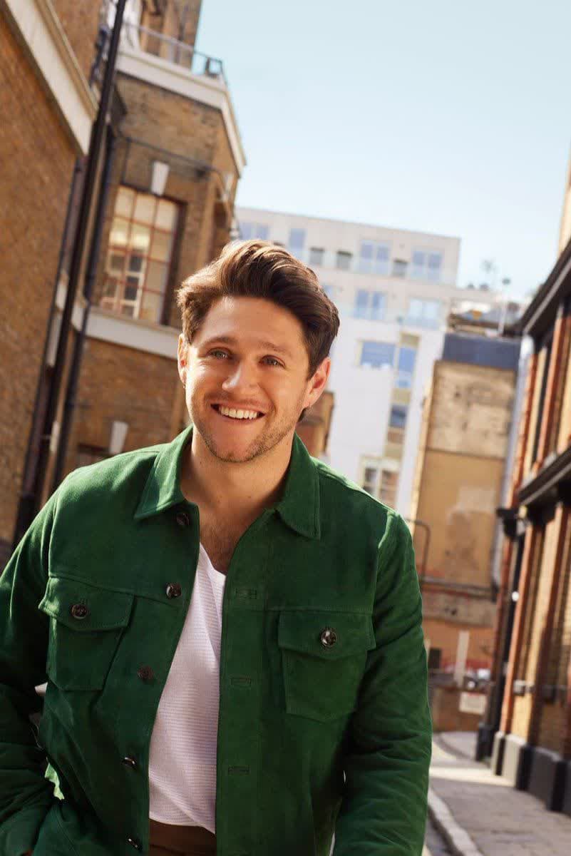 دانلود آهنگ One night like tonight از Niall Horan 