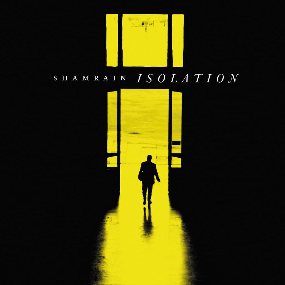 دانلود آهنگ ShamRain - Everything Made Perfect Sense