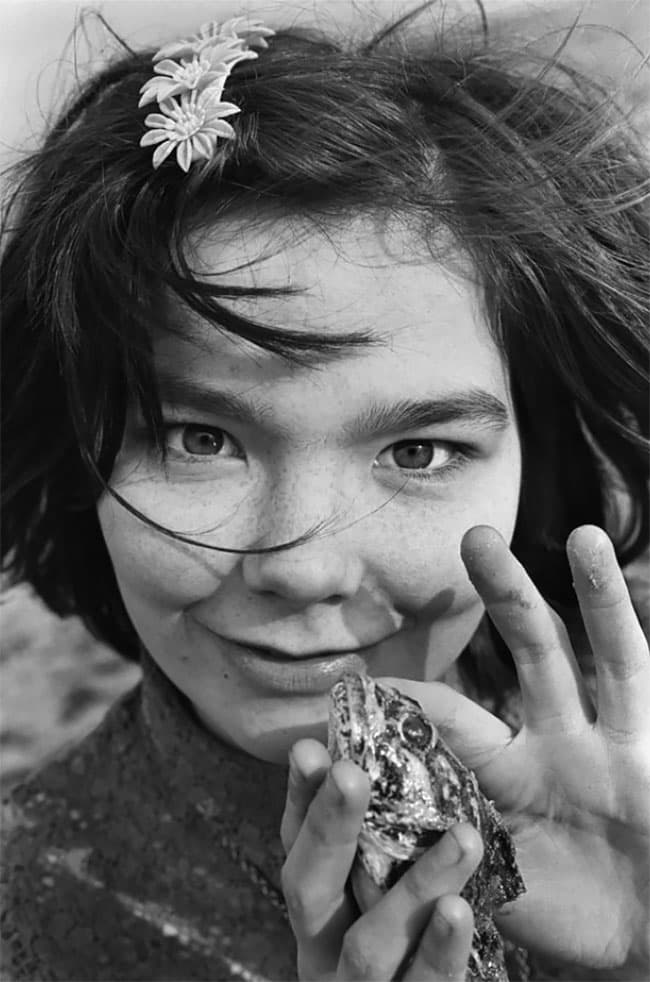 Björk - Jóga