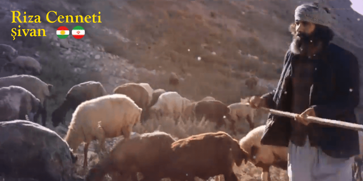 دانلود + متن و ترجمه آهنگ شوان (چوپان) از رضا جنتی 320p