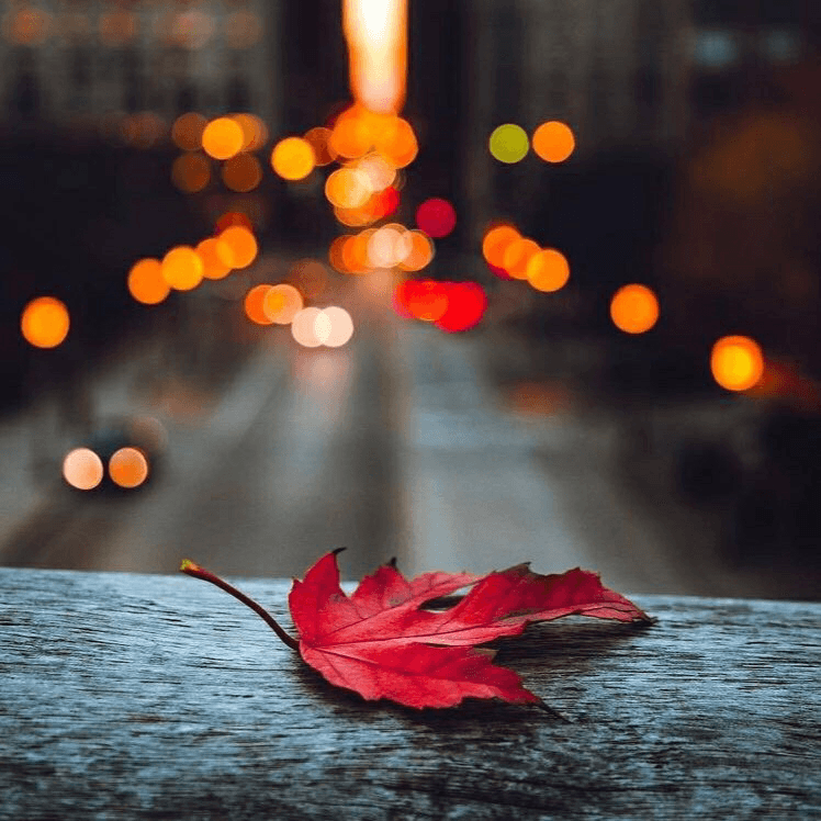 بارون یا برف؟! آفتابی یا ابری؟!