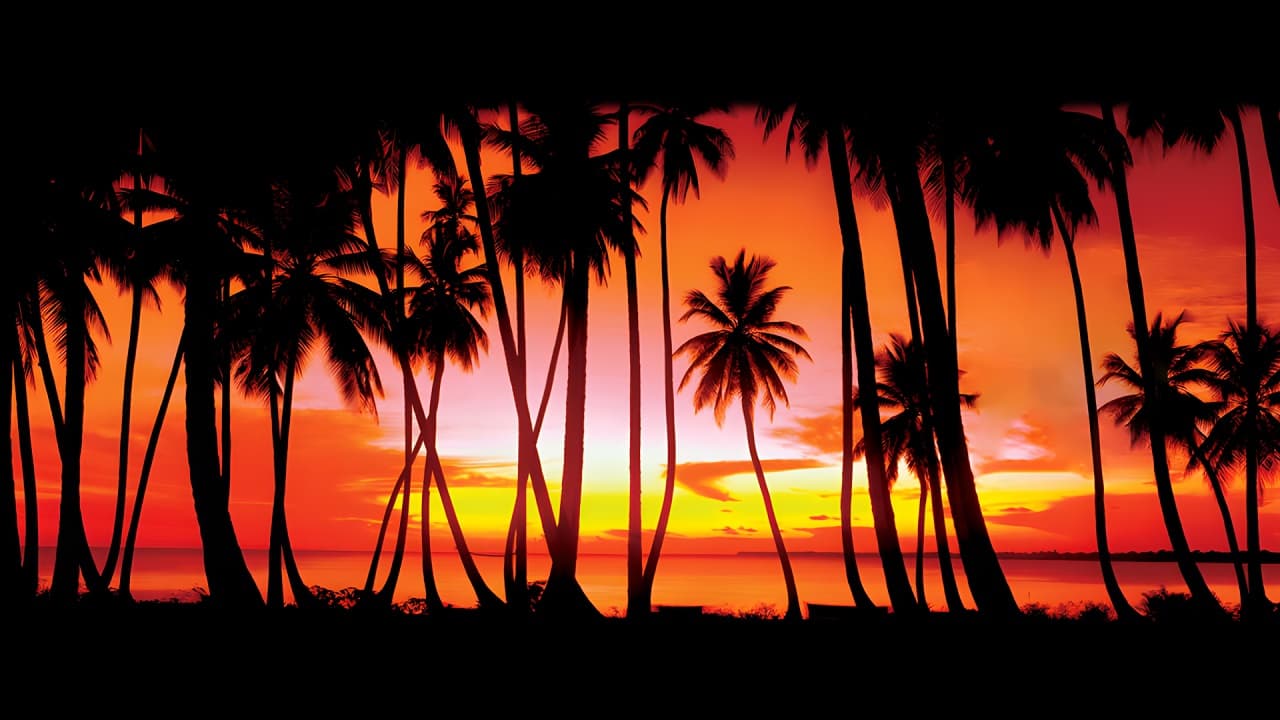 بک گراند وایس سیتی (میامی) برای تصویر زمینه Vice City Background