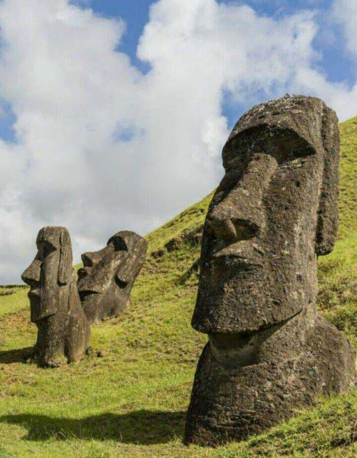 ‌