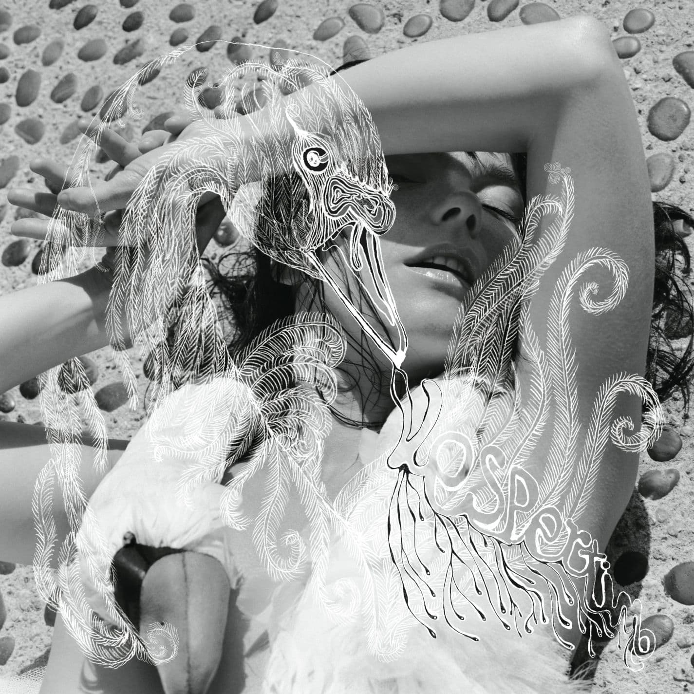 Björk : Hidden Place