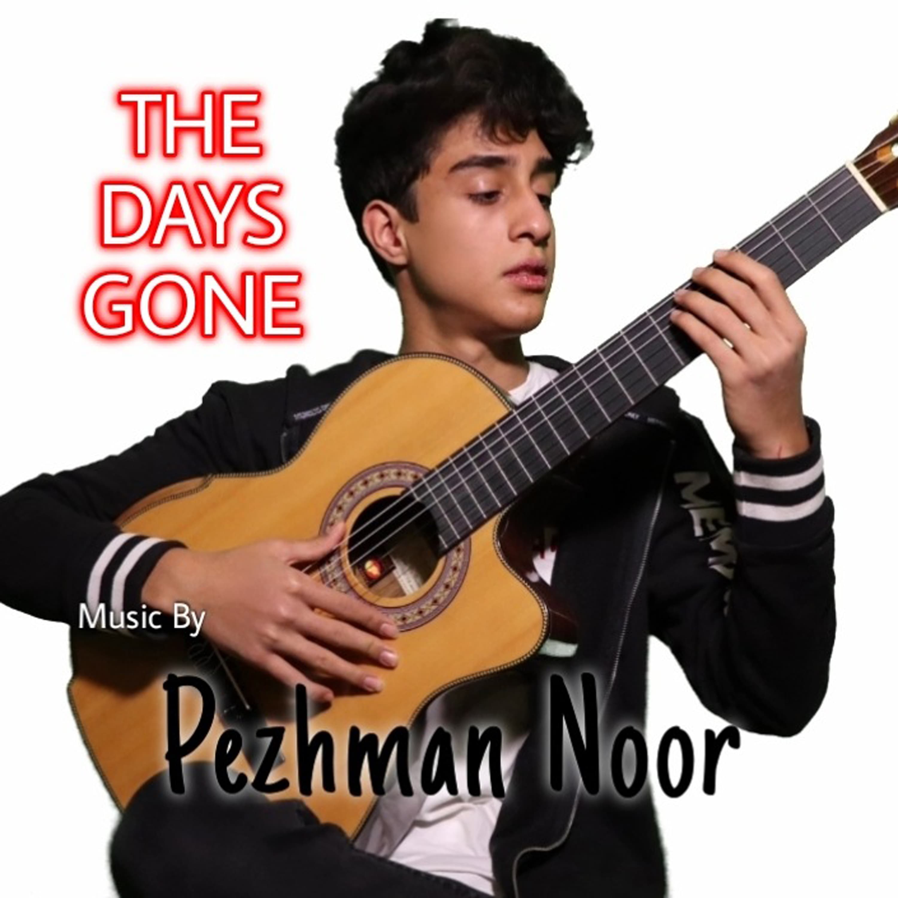 Amin Maleki - The Days Gone