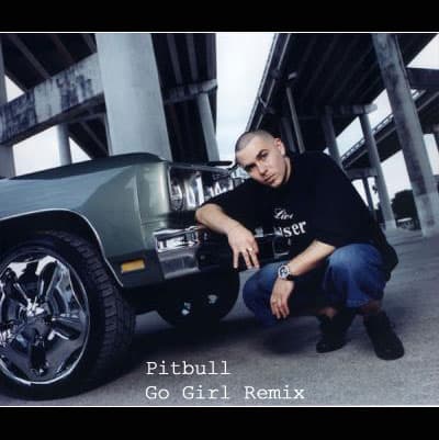pibull | go girl remix with arash hoseini