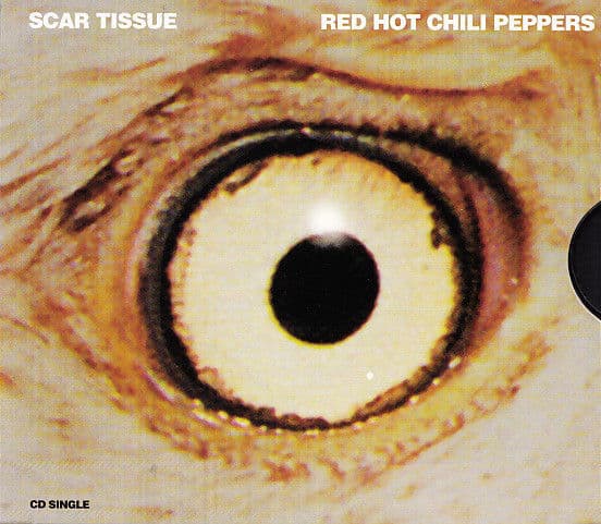 Red Hot Chili Peppers – Scar Tissue 