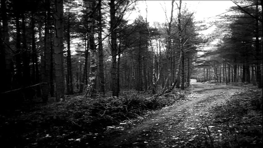 Uaral - The Writing And The Cry 