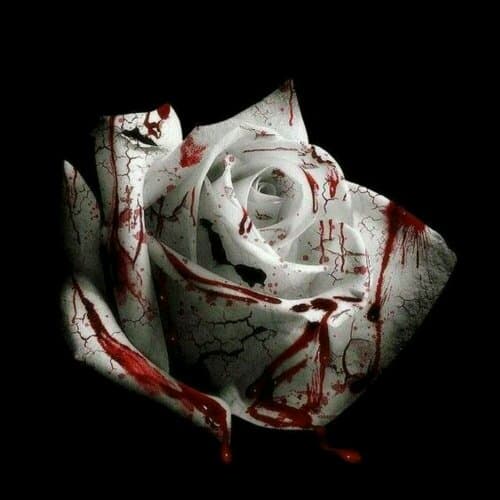 دانلود آهنگ d4vd - Romantic Homicide