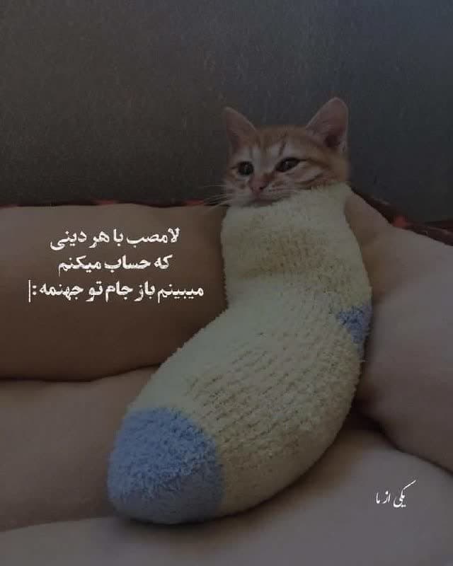 طنز تلخ?